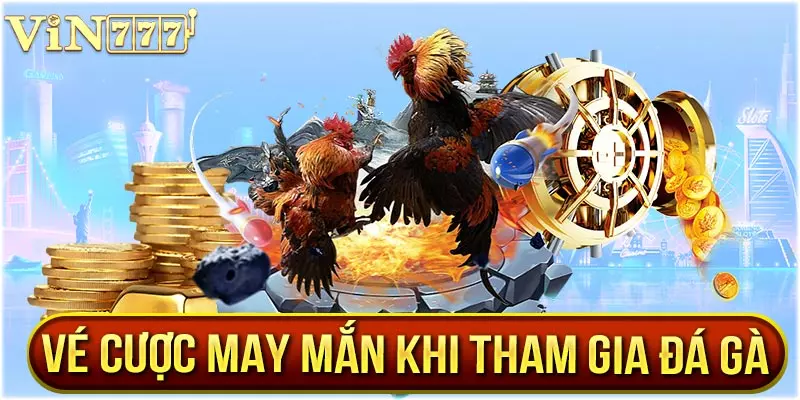 Tham gia đá gà trực tuyến VIN777 nhận thưởng lên đến 7 triệu đồng